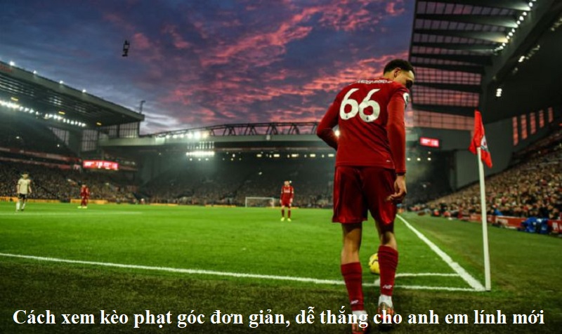 cach-xem-keo-phat-goc-don-gian-de-thang-cho-anh-em-linh-moi